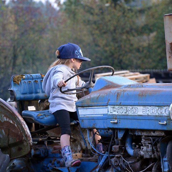 A young girl sitting at the wheel of a vintage blue farm tractor
