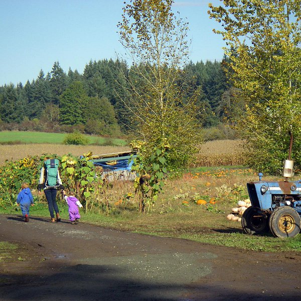 A mother walking with two young children on their way to the corn maze at McNab’s farm
