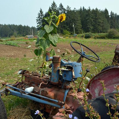 sunflower-powered-tractor-01