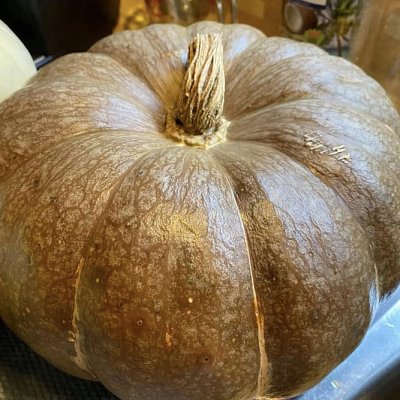 mcnabs-cooking-with-pumpkins-13