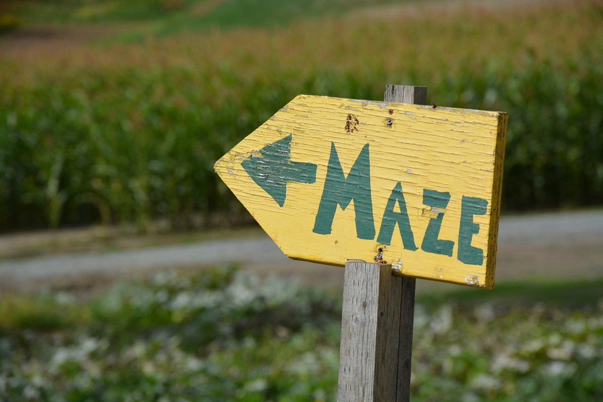 McNab's Corn Maze open as of Friday August 26th, 2016