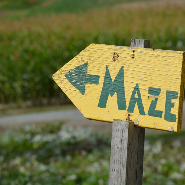 An arrow-shaped sign that says “maze” pointing to a corn maze to the left