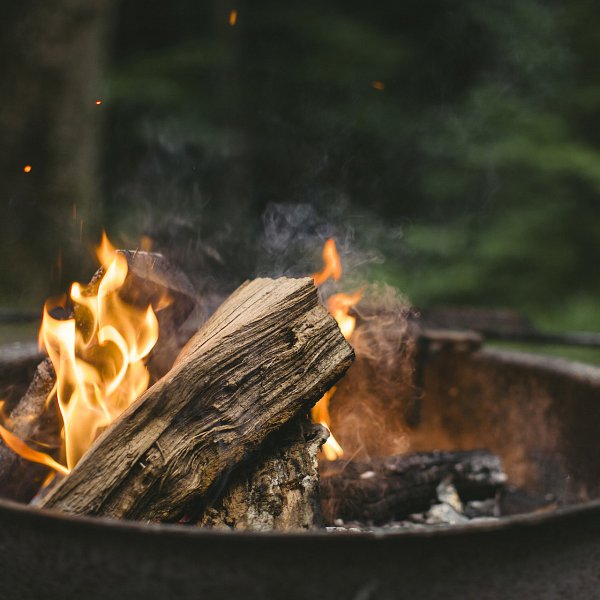Wood burning in a campsite-style fire pit
