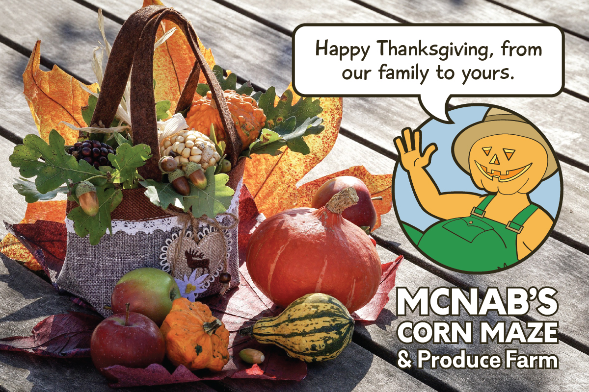McNab's Corn Maze & Pumpkin Patch open on Thanksgiving Day, 2018
