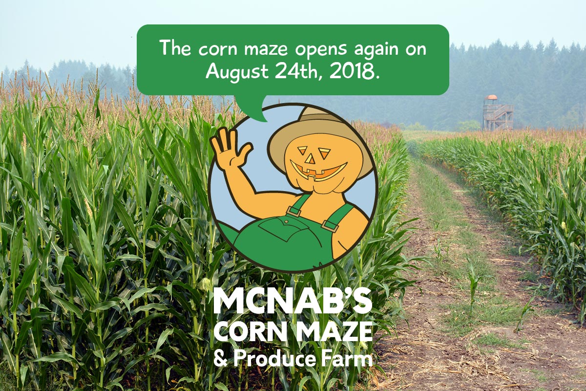 McNab's Corn Maze opens on August 24th, 2018