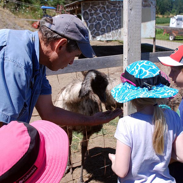 Murray McNab introducing a group of children to one of the farm animals