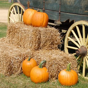 Pumpkins stacked on haybails next to a wooden wagon cart