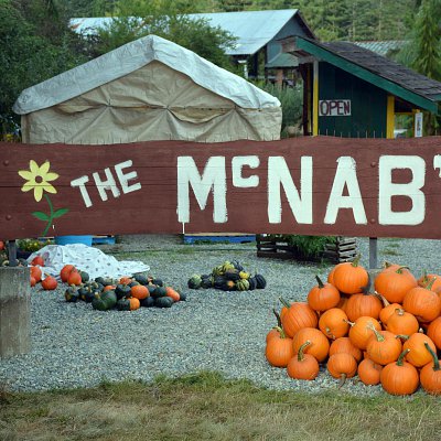mcnabs-farm-produce-stand-09