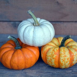 Three mini pumpkins stacked on top of each other