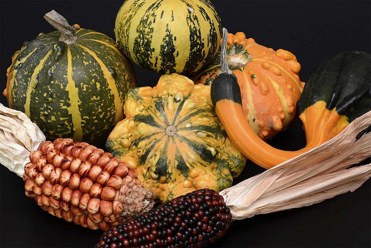 Thanksgiving decorations available at McNab's Corn Maze