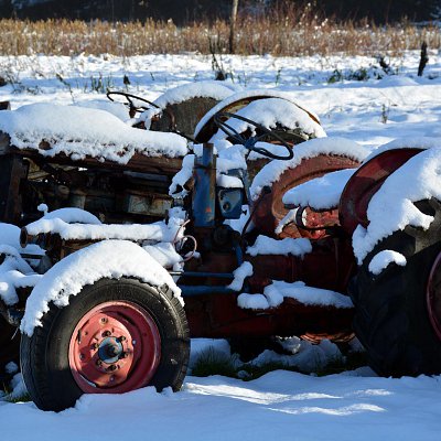 snow-days-at-mcnabs-farm-08