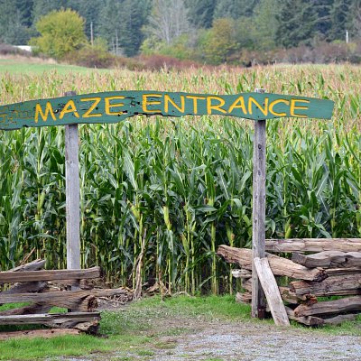mcnabs-corn-maze-2016-09
