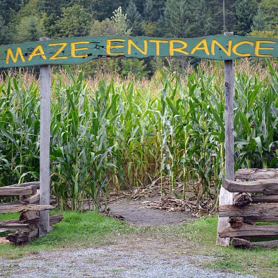 mcnabs-corn-maze-2016-10