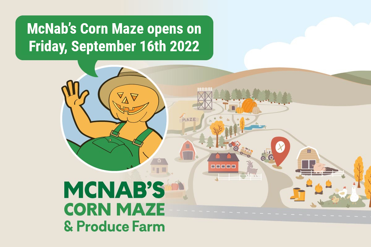 McNab's Corn Maze now OPEN for 2022 starting on September 16th