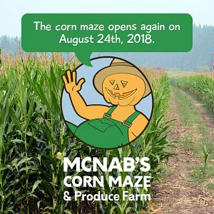 McNab's Corn Maze opens on August 24th, 2018