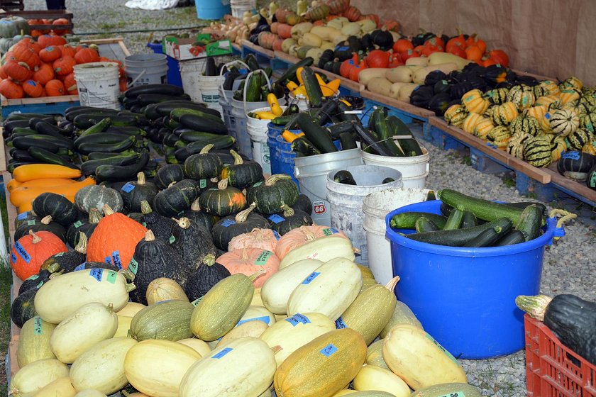 The roadside McNab's Produce Stand, chocked full of fresh veggies