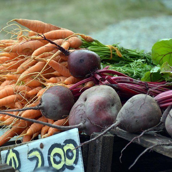 A pile of various veggies, including carrots and turnips