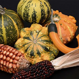 Thanksgiving decorations available at McNab's Corn Maze